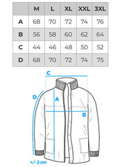 Зимняя куртка мужская Edoti C612 цена и информация | Мужские куртки | pigu.lt