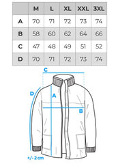 Striukė vyrams C617, juoda kaina ir informacija | Vyriškos striukės | pigu.lt