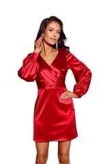 Suknelė moterims Roco Fashion LKK186661.2679, raudona цена и информация | Платья | pigu.lt