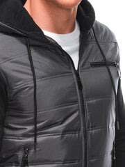 Куртка мужская межсезонная С615 - темно-серая 123541-7 цена и информация | Мужские куртки | pigu.lt