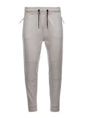 Спортивные брюки мужские джоггеры - ясень V1 OM-PASK-0142 123510-7 цена и информация | Мужская спортивная одежда | pigu.lt