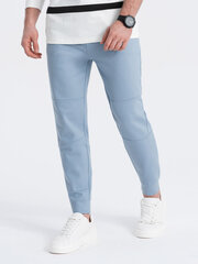 Спортивные брюки мужские джоггеры - светло-голубые V2 OM-PASK-0142 123508-7 цена и информация | Мужская спортивная одежда | pigu.lt