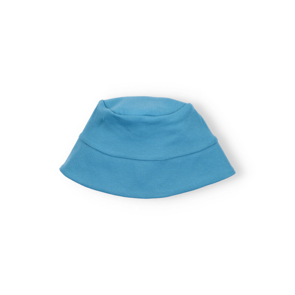Kepurė nuo saulės berniukams Nini ABN-3902, mėlyna kaina ir informacija | Kepurės, pirštinės, kaklaskarės kūdikiams | pigu.lt