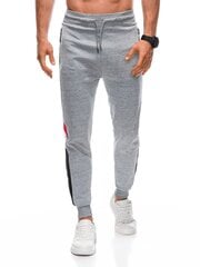 Спортивные брюки мужские P1392 - серые 123048-7 цена и информация | Мужская спортивная одежда | pigu.lt