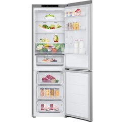 LG GBV3100DPY цена и информация | LG Холодильники и морозильные камеры | pigu.lt