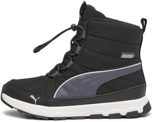 Мужские кроссовки Puma Bmw Mms DC Future, черные цена и информация | Кроссовки для мужчин | pigu.lt