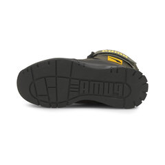 Puma Обувь Nieve Boot Green 380745 02 380745 02/1 цена и информация | Кроссовки для мужчин | pigu.lt