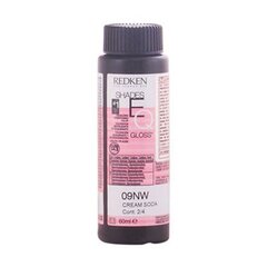 Полуперманентное окрашивание Shades Eq 09nw Redken (60 ml) цена и информация | Краска для волос | pigu.lt