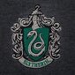 Megztinis vyrams Harry Potter Slytherin 14174, pilkas kaina ir informacija | Megztiniai vyrams | pigu.lt