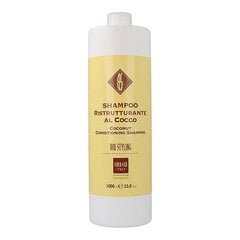 Šampūnas Alterego Bio Styling Coconut Shampoo, 1000 ml kaina ir informacija | Šampūnai | pigu.lt