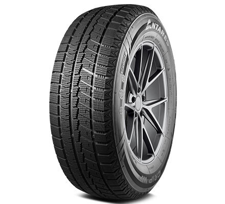 Antares Grip WP 225/55 R17 101T XL kaina ir informacija | Žieminės padangos | pigu.lt