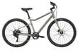 Miesto dviratis Cannondale Treadwell 2 Ltd 29", pilkas цена и информация | Dviračiai | pigu.lt