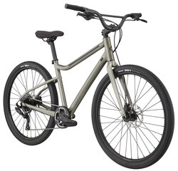 Miesto dviratis Cannondale Treadwell 2 Ltd 29", pilkas kaina ir informacija | Dviračiai | pigu.lt