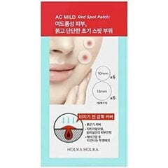 Pleistrai nuo spuogų Holika Holika, 12 vnt цена и информация | Маски для лица, патчи для глаз | pigu.lt