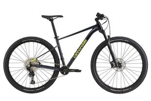 Kalnų dviratis Cannondale Trail Sl 2 29", juodas kaina ir informacija | Dviračiai | pigu.lt