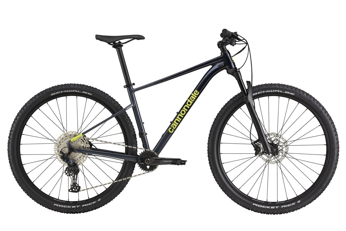 Kalnų dviratis Cannondale Trail Sl 2 29", juodas kaina ir informacija | Dviračiai | pigu.lt