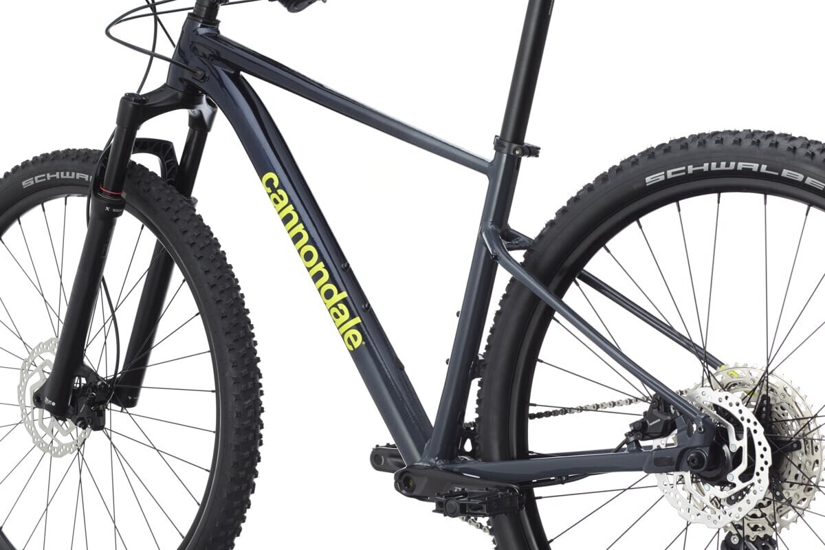 Kalnų dviratis Cannondale Trail Sl 2 29", juodas kaina ir informacija | Dviračiai | pigu.lt