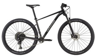 Kalnų dviratis Cannondale Trail SL 3 29", juodas цена и информация | Велосипеды | pigu.lt