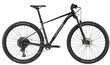 Kalnų dviratis Cannondale Trail SL 3 29", juodas kaina ir informacija | Dviračiai | pigu.lt