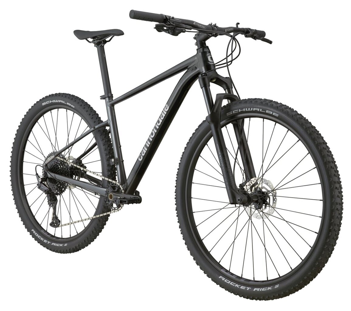 Kalnų dviratis Cannondale Trail SL 3 29", juodas kaina ir informacija | Dviračiai | pigu.lt