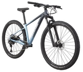Kalnų dviratis Cannondale Trail SL 3 29", mėlynas kaina ir informacija | Dviračiai | pigu.lt