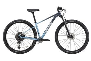 Kalnų dviratis Cannondale Trail SL 3 29", mėlynas kaina ir informacija | Dviračiai | pigu.lt