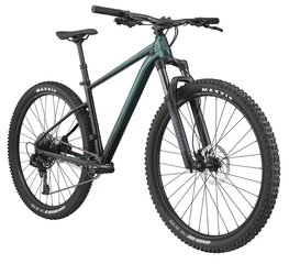 Kalnų dviratis Cannondale Trail Se 2 29", žalias kaina ir informacija | Dviračiai | pigu.lt