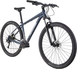 Kalnų dviratis Cannondale Trail 6 29", mėlynas цена и информация | Велосипеды | pigu.lt