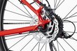 Kalnų dviratis Cannondale Trail 7 29", raudonas цена и информация | Dviračiai | pigu.lt