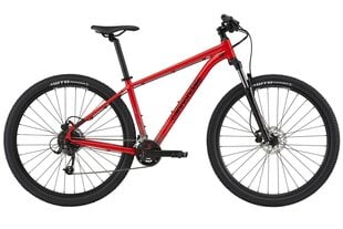 Kalnų dviratis Cannondale Trail 7 29", raudonas kaina ir informacija | Dviračiai | pigu.lt