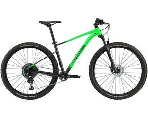 Kalnų dviratis Cannondale SL3 29", žalias kaina ir informacija | Dviračiai | pigu.lt