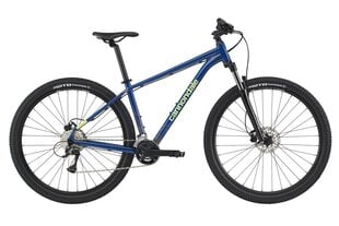 Kalnų dviratis Cannondale Trail 6 29", mėlynas kaina ir informacija | Dviračiai | pigu.lt