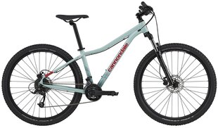 Kalnų dviratis Cannondale Trail Women`s 29", mėlynas kaina ir informacija | Dviračiai | pigu.lt