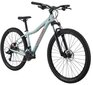 Kalnų dviratis Cannondale Trail Women`s 29", mėlynas kaina ir informacija | Dviračiai | pigu.lt
