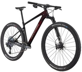 Kalnų dviratis Cannondale Scalpel Ht Hi-mod Ultimate 29", juodas цена и информация | Велосипеды | pigu.lt