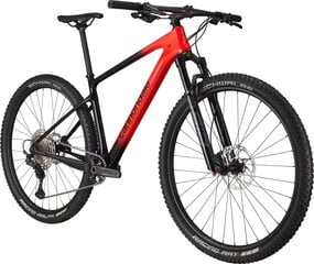 Kalnų dviratis Cannondale Scalpel Ht Carbon 4 29", raudonas kaina ir informacija | Dviračiai | pigu.lt