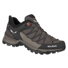 Laisvalaikio batai moterims Salewa GTX W 61362-7517, rudi цена и информация | Спортивная обувь, кроссовки для женщин | pigu.lt