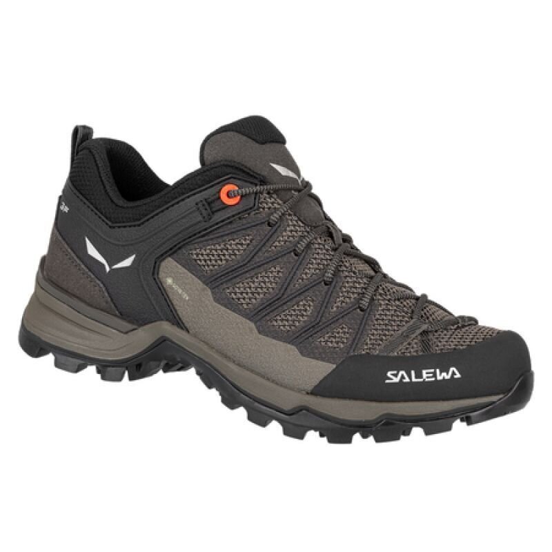 Laisvalaikio batai moterims Salewa GTX W 61362-7517, rudi kaina ir informacija | Sportiniai bateliai, kedai moterims | pigu.lt