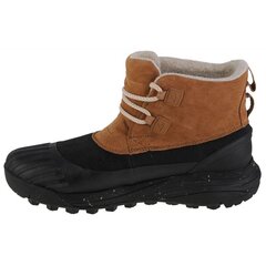 Aulinukai moterims Merrell Siren 4 Thermo Demi WP W J036998, rudi цена и информация | Женские ботинки | pigu.lt