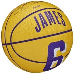 Krepšinio kamuolys Wilson NBA Player Icon Stephen Curry Mini Ball, 3 dydis kaina ir informacija | Krepšinio kamuoliai | pigu.lt