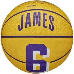 Krepšinio kamuolys Wilson NBA Player Icon Stephen Curry Mini Ball, 3 dydis цена и информация | Баскетбольные мячи | pigu.lt