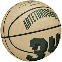 Krepšinio kamuolys Wilson NBA Giannis Antetokounmpo mini, 3 dydis цена и информация | Баскетбольные мячи | pigu.lt
