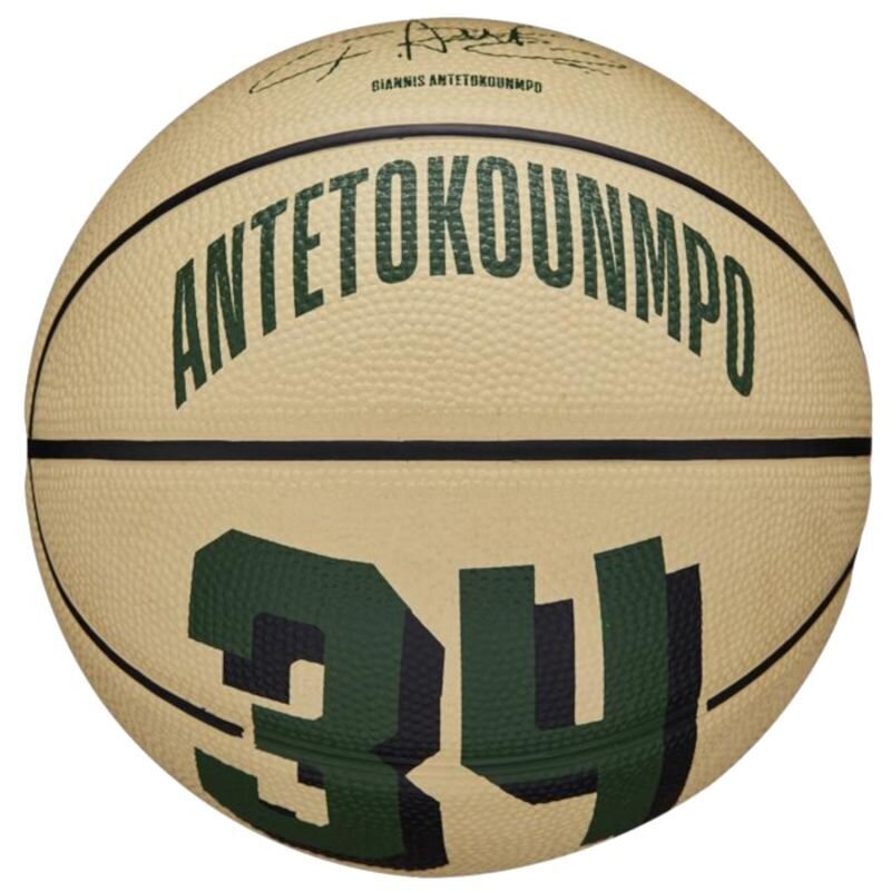 Krepšinio kamuolys Wilson NBA Giannis Antetokounmpo mini, 3 dydis kaina ir informacija | Krepšinio kamuoliai | pigu.lt