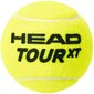 Teniso kamuoliukai Head Tour XT, geltoni kaina ir informacija | Lauko teniso prekės | pigu.lt