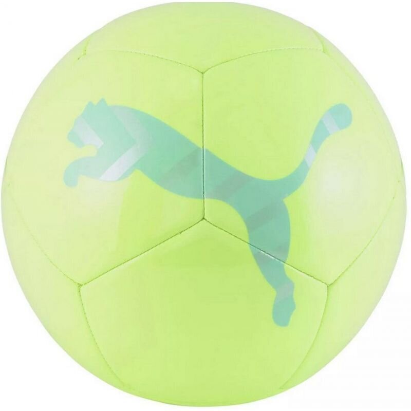 Futbolo kamuolys Puma Icon 83993 02 kaina ir informacija | Futbolo kamuoliai | pigu.lt