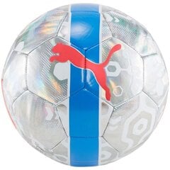 Puma Мячи Cup Ball Grey Blue 084075 01 084075 01/4 цена и информация | Футбольные мячи | pigu.lt