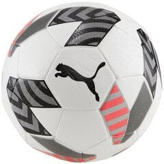Futbolo kamuolys Puma King Ball 83997 02 цена и информация | Футбольные мячи | pigu.lt
