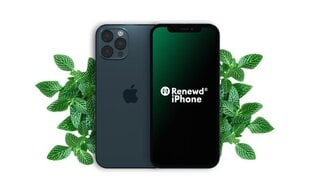 Renewd® Apple iPhone 12 Pro 128GB RND-P207128 Blue цена и информация | Мобильные телефоны | pigu.lt