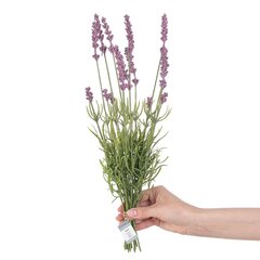 Dirbtinė gėlė Levanda kaina ir informacija | Dirbtinės gėlės | pigu.lt