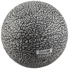 Krepšinio kamuolys Jordan Skills 2.0 Graphic Mini Ball, 3 dydis цена и информация | Баскетбольные мячи | pigu.lt